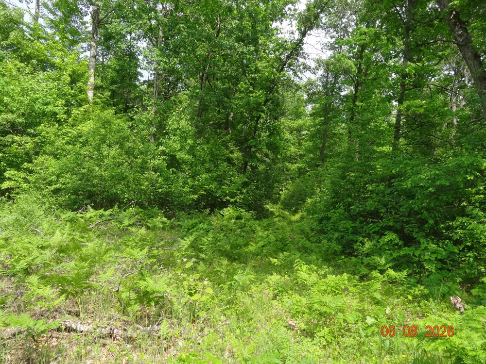 550 S Oak Avenue White Cloud, MI 49349