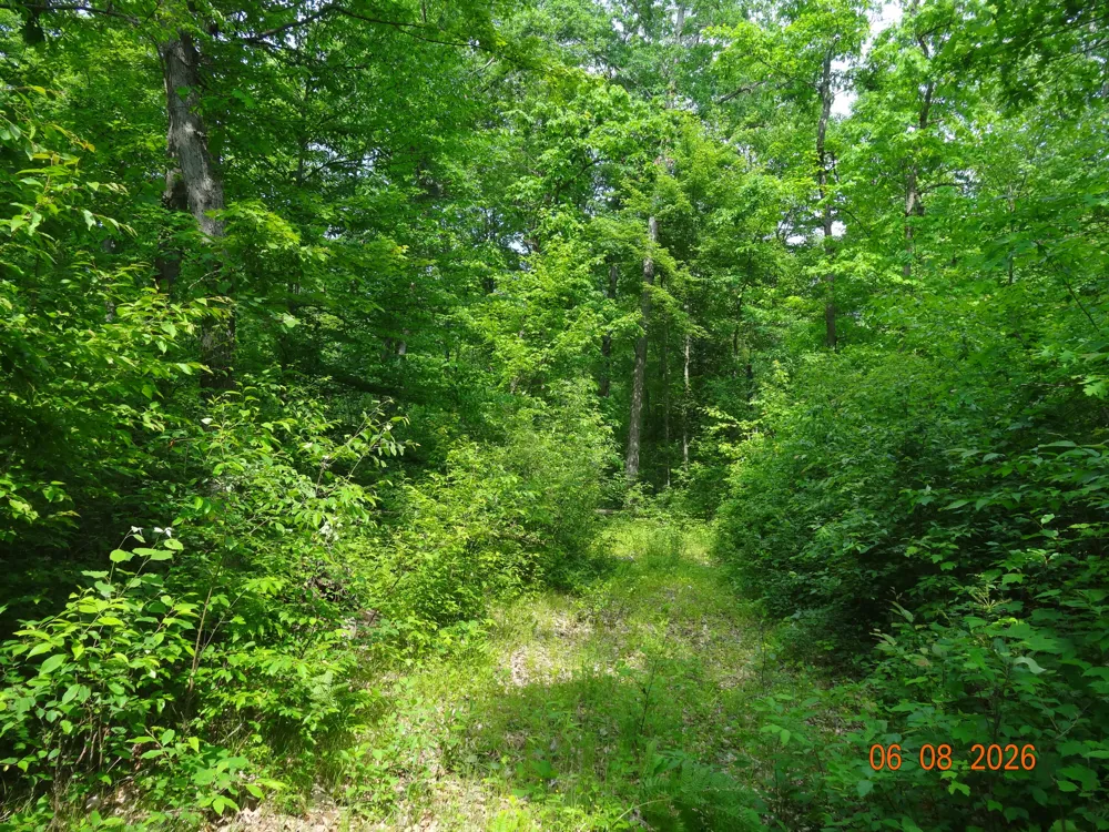 550 S Oak Avenue White Cloud, MI 49349