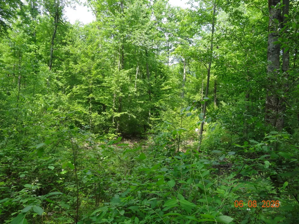 550 S Oak Avenue White Cloud, MI 49349