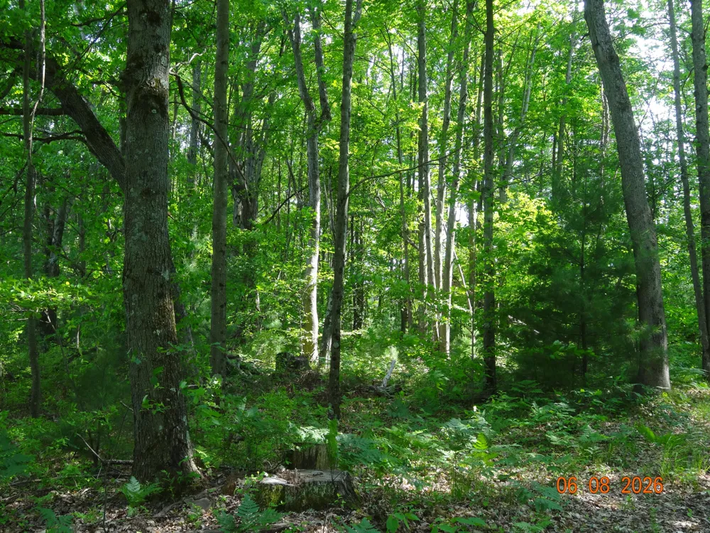 550 S Oak Avenue White Cloud, MI 49349