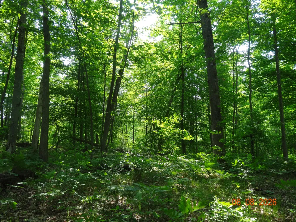 550 S Oak Avenue White Cloud, MI 49349