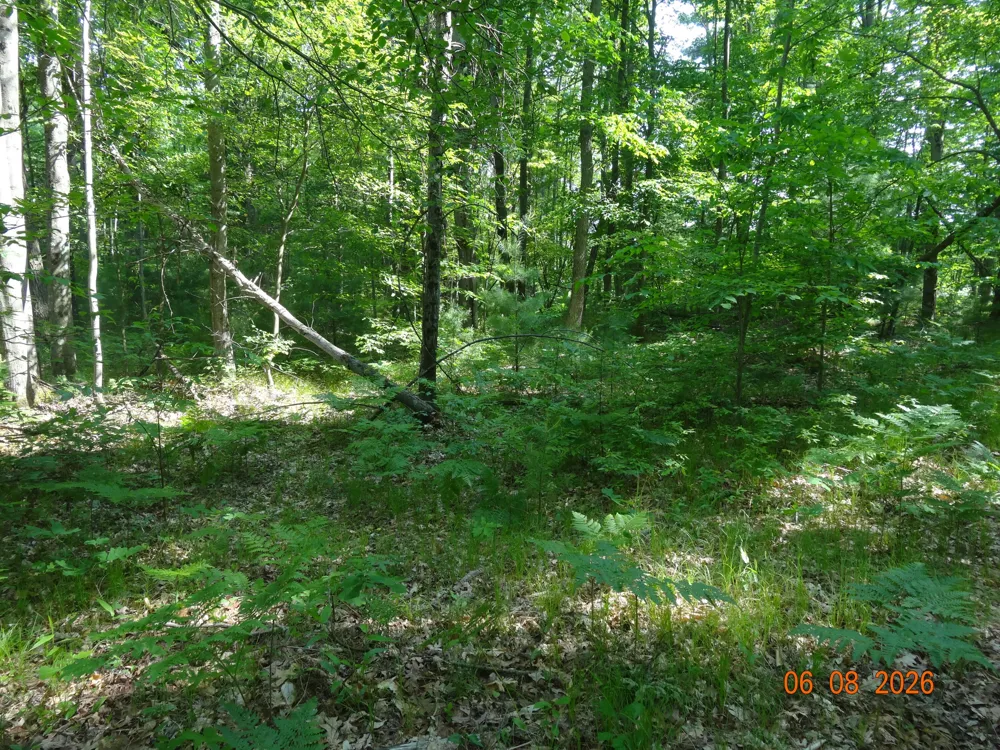550 S Oak Avenue White Cloud, MI 49349