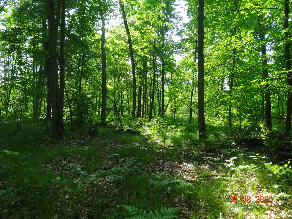 550 S Oak Avenue White Cloud, MI 49349