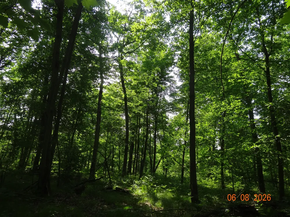550 S Oak Avenue White Cloud, MI 49349