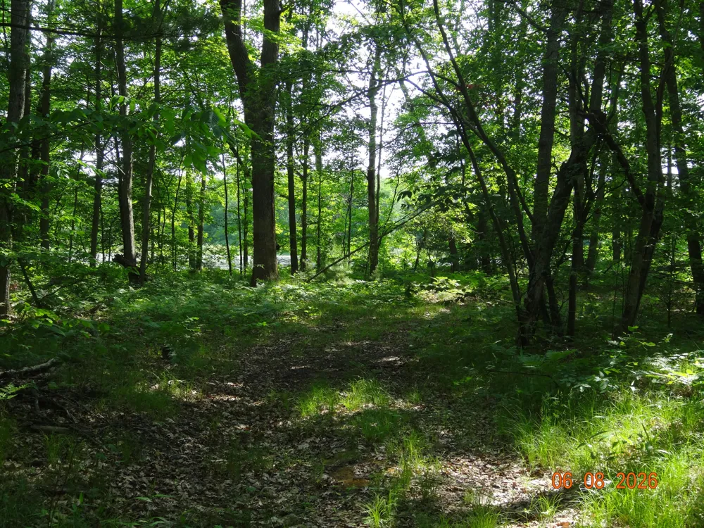550 S Oak Avenue White Cloud, MI 49349