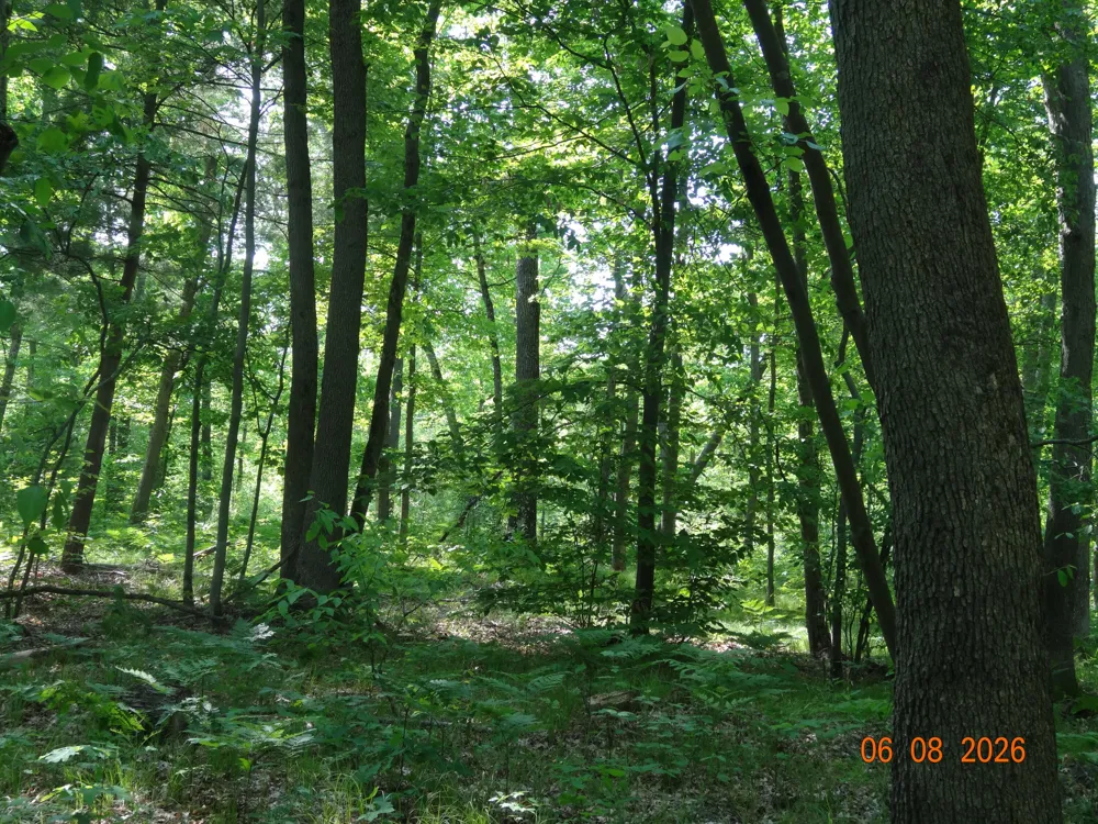 550 S Oak Avenue White Cloud, MI 49349