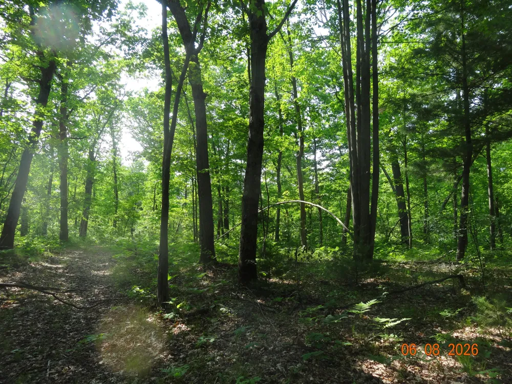 550 S Oak Avenue White Cloud, MI 49349