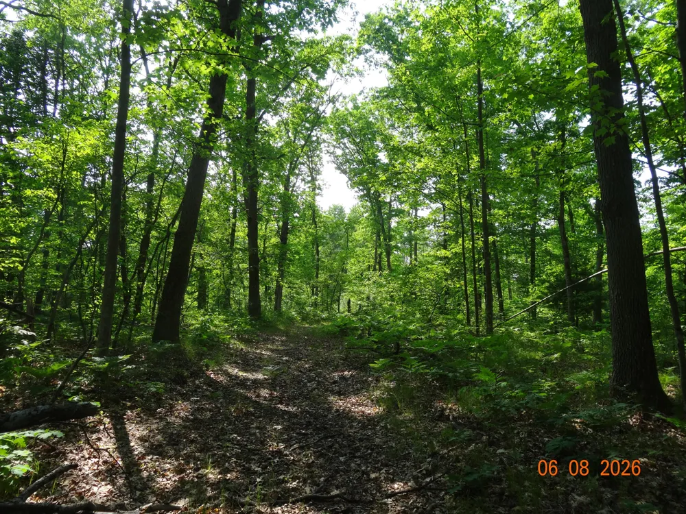 550 S Oak Avenue White Cloud, MI 49349