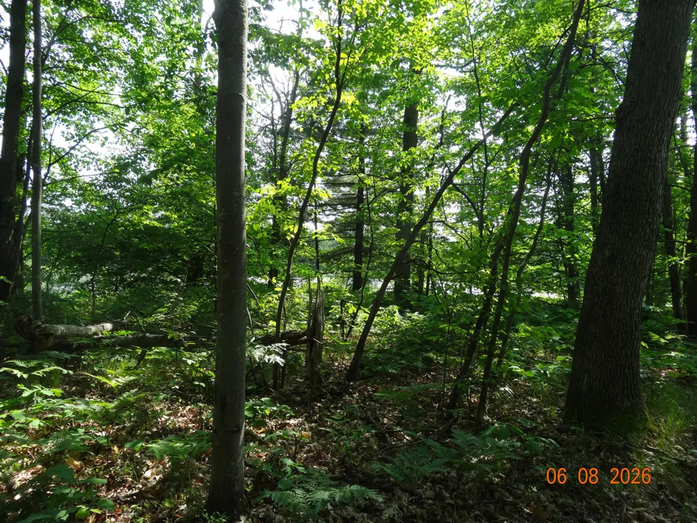 550 S Oak Avenue White Cloud, MI 49349