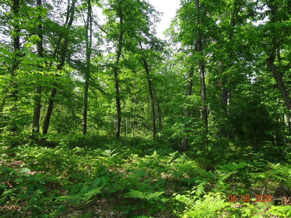 550 S Oak Avenue White Cloud, MI 49349