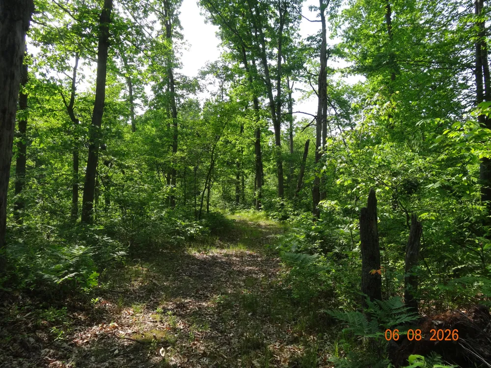 550 S Oak Avenue White Cloud, MI 49349