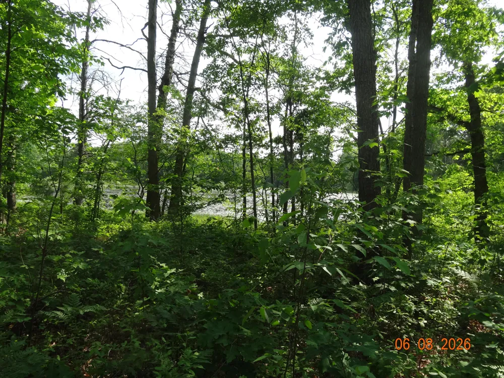 550 S Oak Avenue White Cloud, MI 49349
