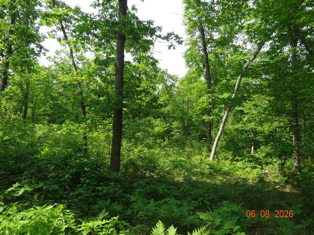 550 S Oak Avenue White Cloud, MI 49349