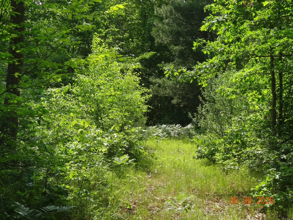 550 S Oak Avenue White Cloud, MI 49349