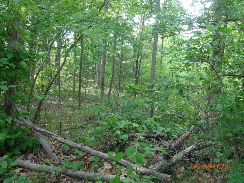 550 S Oak Avenue White Cloud, MI 49349