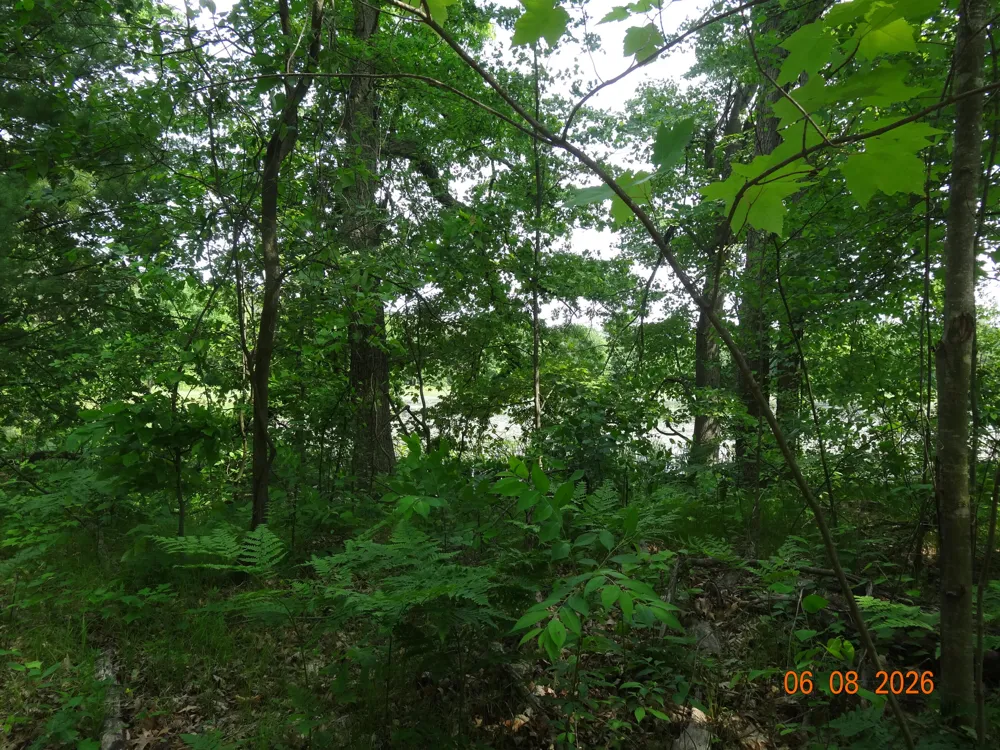 550 S Oak Avenue White Cloud, MI 49349