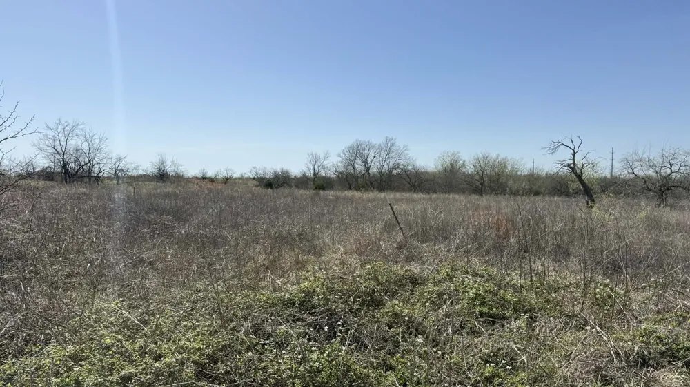 FM RD  1392 Terrell, TX 75160