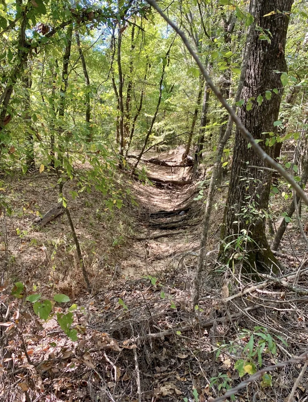County Road 2615 Bonham, TX 75418