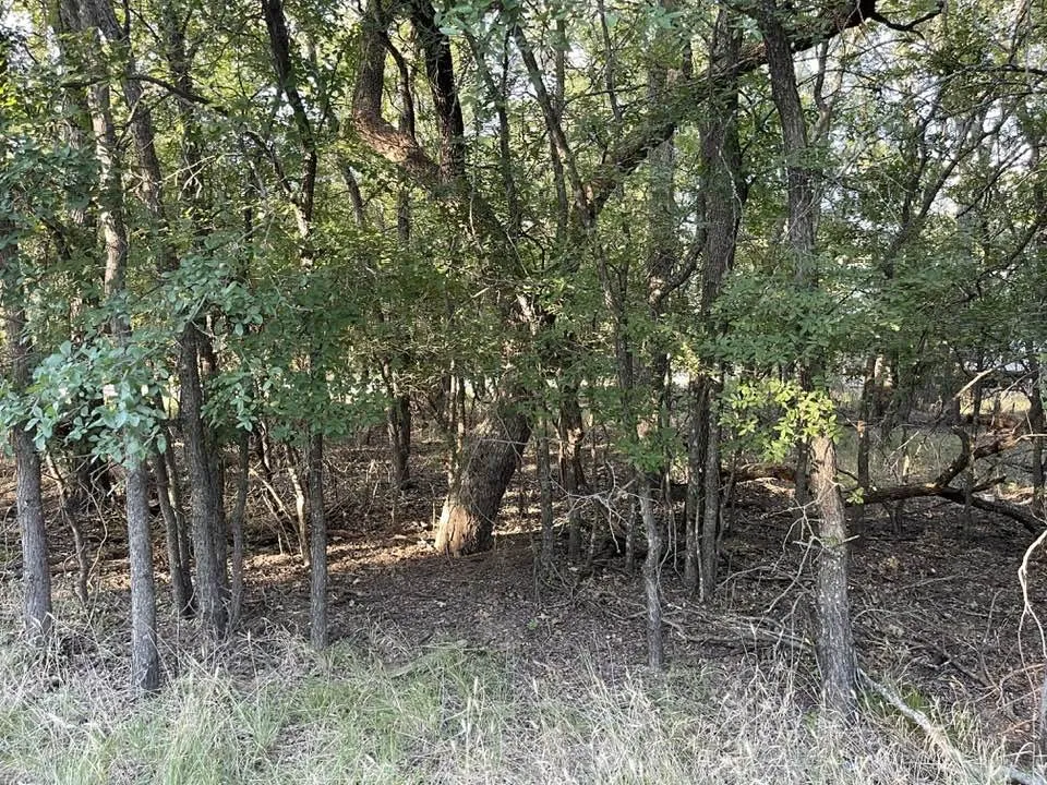 622 Cypress Drive May, TX 76857