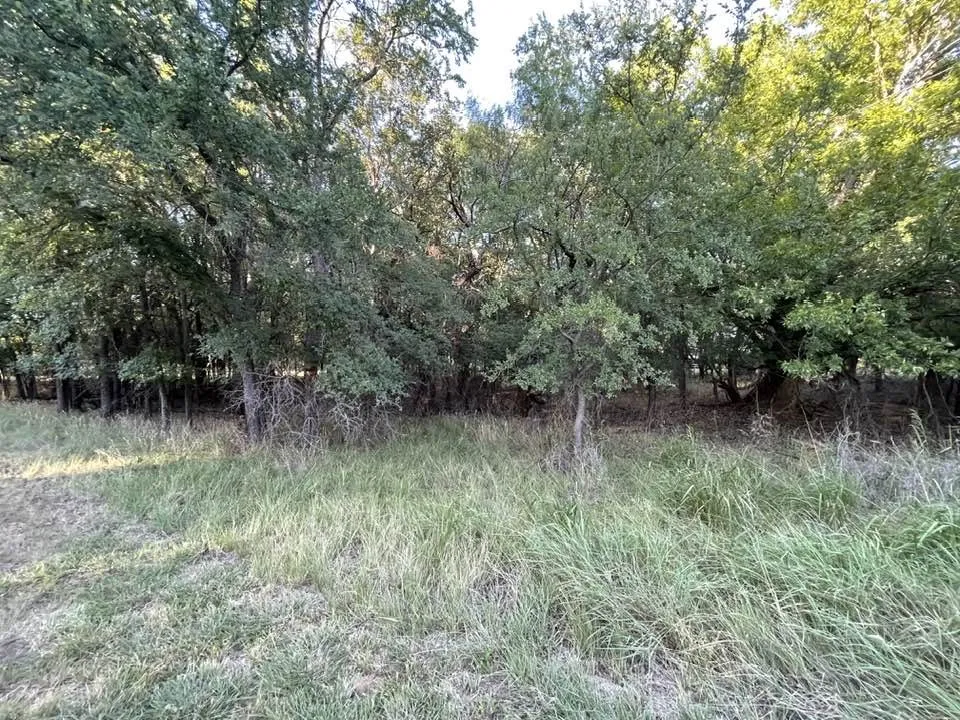 622 Cypress Drive May, TX 76857