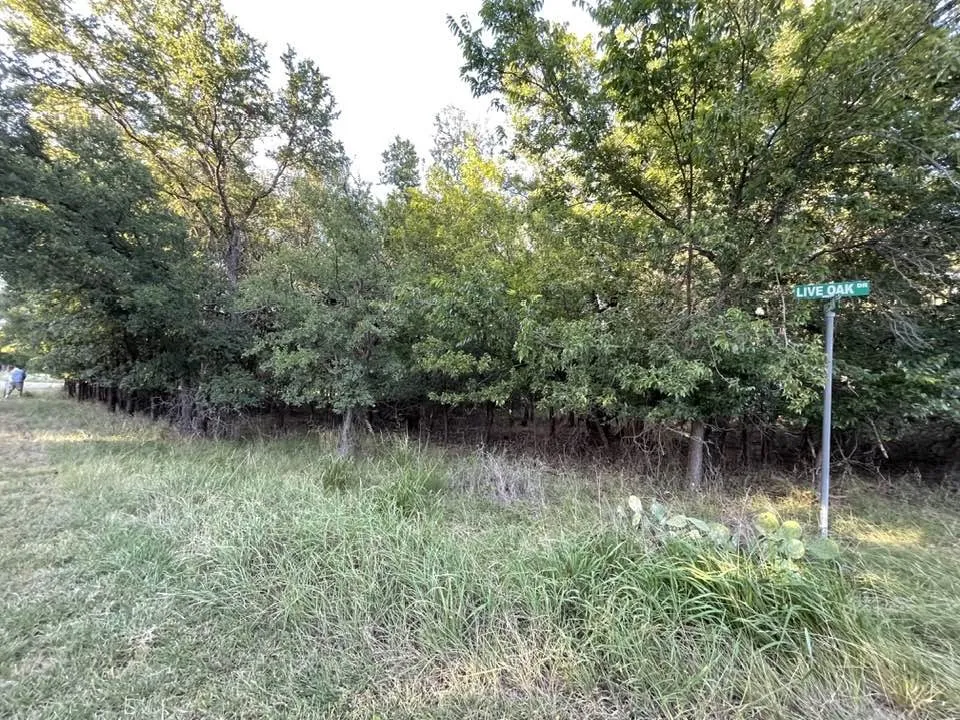 622 Cypress Drive May, TX 76857