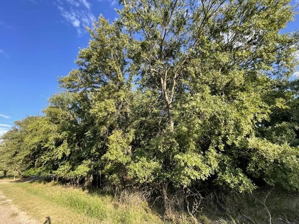 622 Cypress Drive May, TX 76857