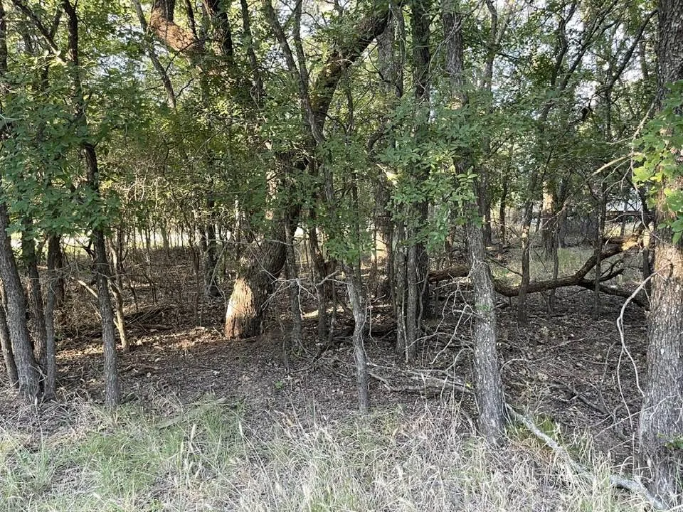 622 Cypress Drive May, TX 76857