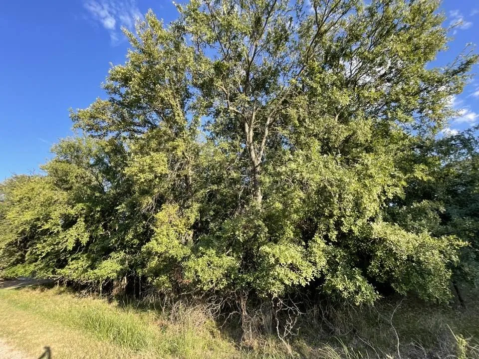 622 Cypress Drive May, TX 76857