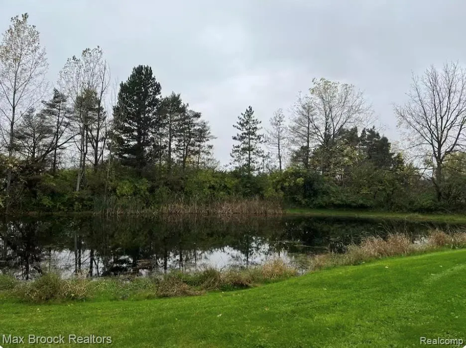 4842 Merwin Road Elba Township, MI 48446