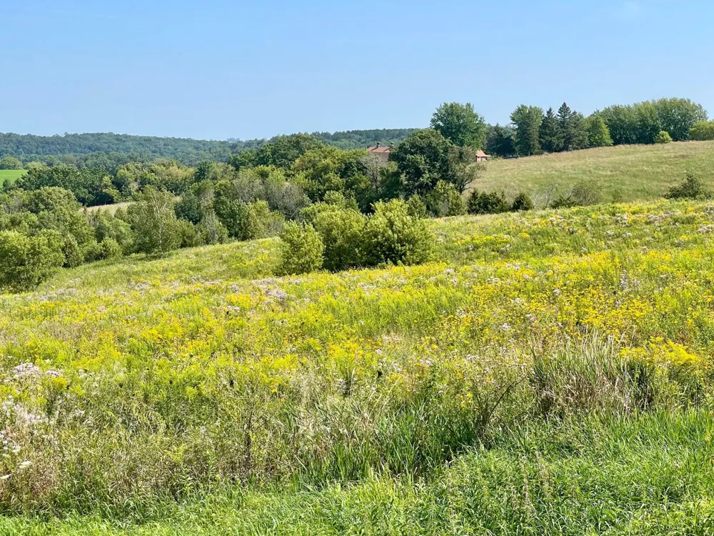 TBD County 8 Spring Grove, MN 55954