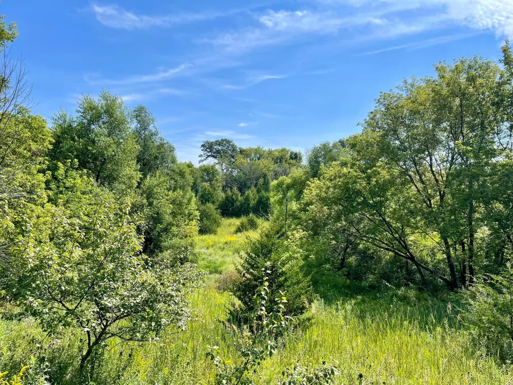 TBD County 8 Spring Grove, MN 55954