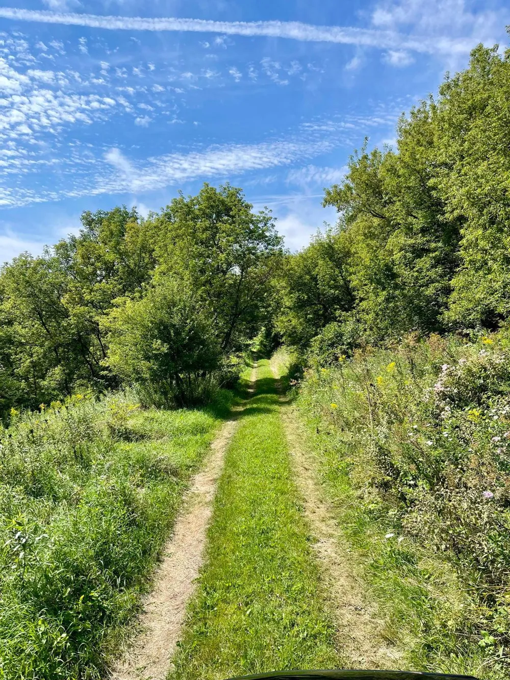 TBD County 8 Spring Grove, MN 55954