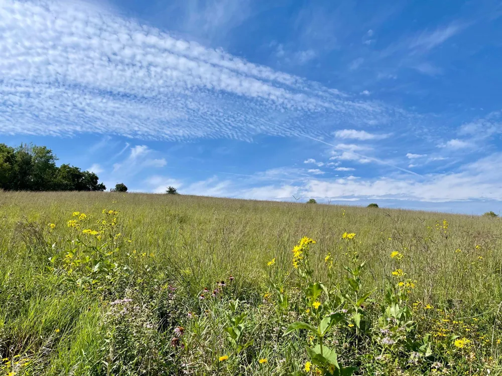 TBD County 8 Spring Grove, MN 55954