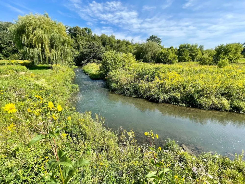 TBD County 8 Spring Grove, MN 55954