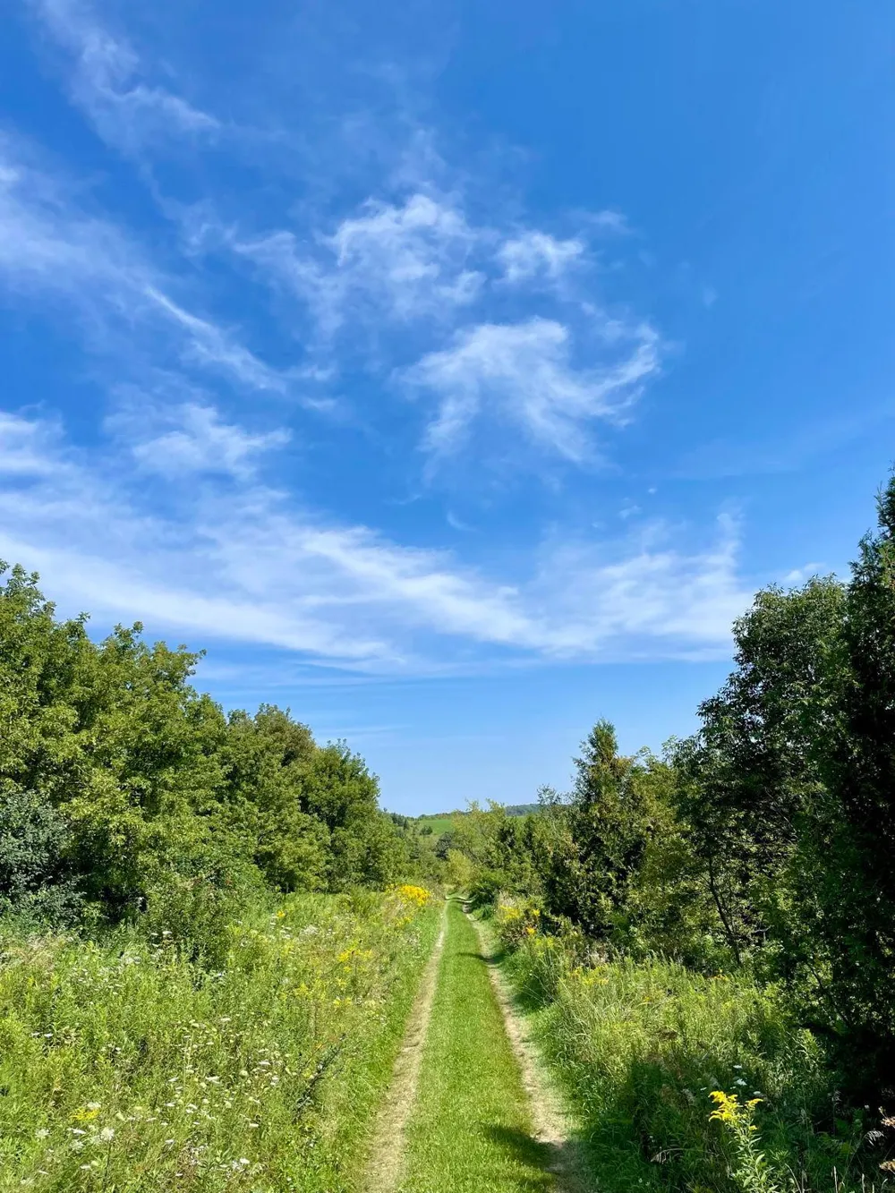 TBD County 8 Spring Grove, MN 55954