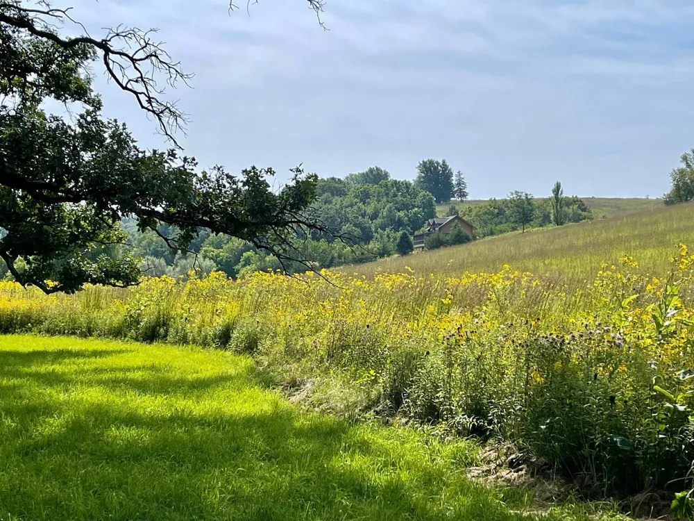 TBD County 8 Spring Grove, MN 55954