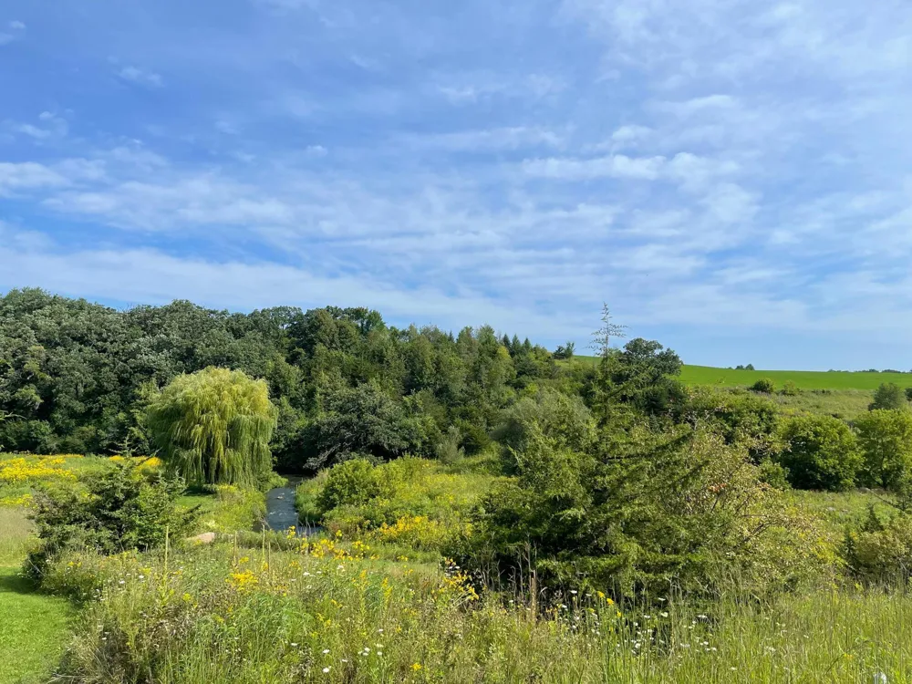 TBD County 8 Spring Grove, MN 55954