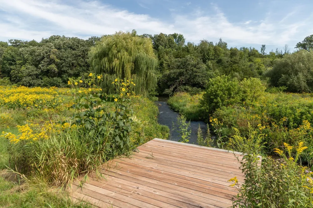 TBD County 8 Spring Grove, MN 55954