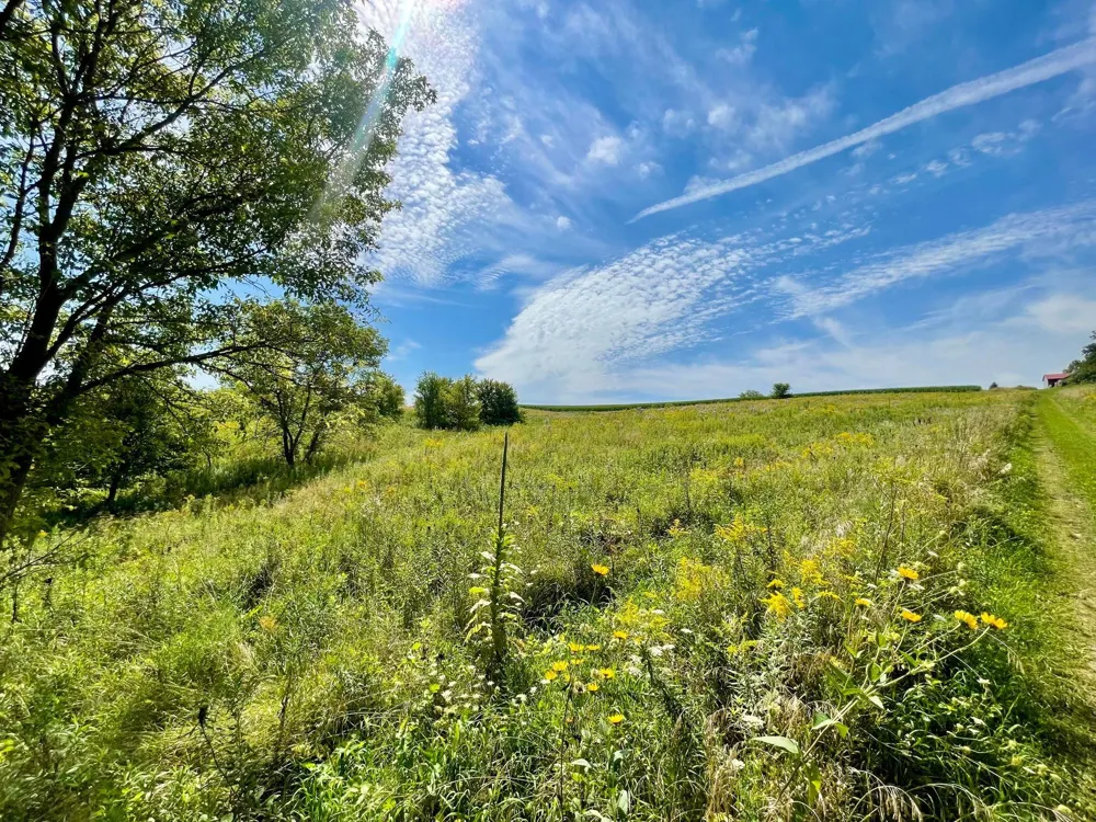 TBD County 8 Spring Grove, MN 55954