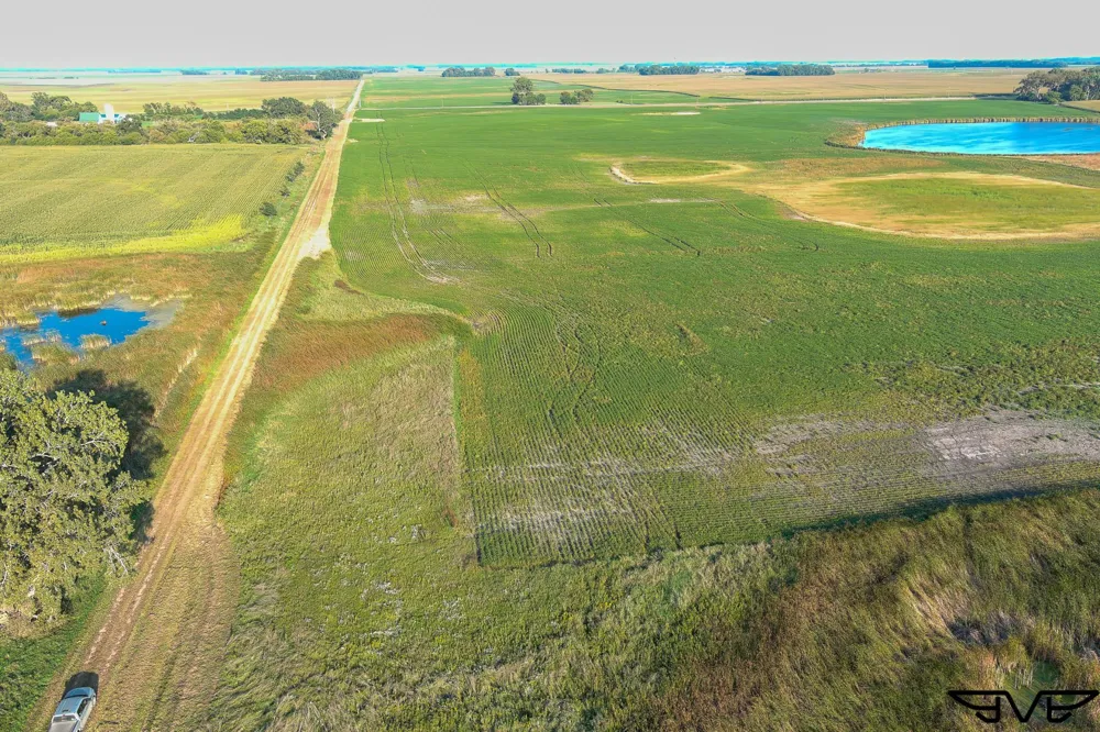 TBD County Road 1 Hankinson, ND 58041