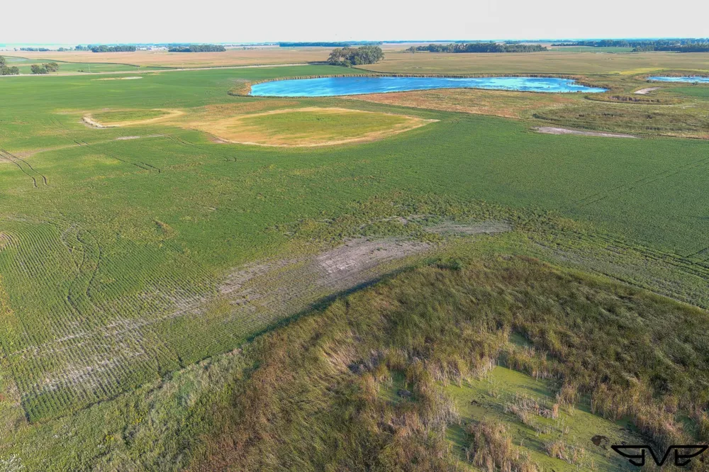 TBD County Road 1 Hankinson, ND 58041