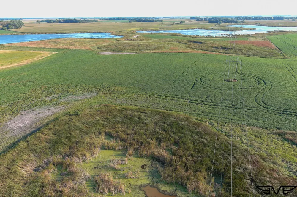 TBD County Road 1 Hankinson, ND 58041