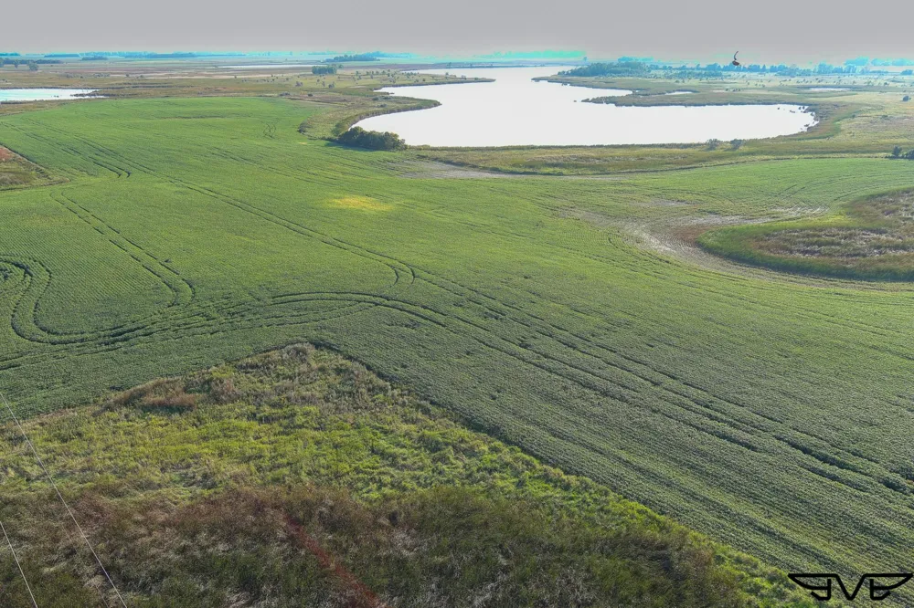 TBD County Road 1 Hankinson, ND 58041