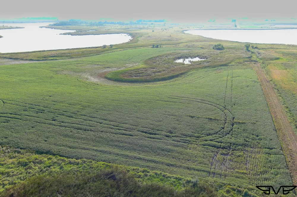 TBD County Road 1 Hankinson, ND 58041