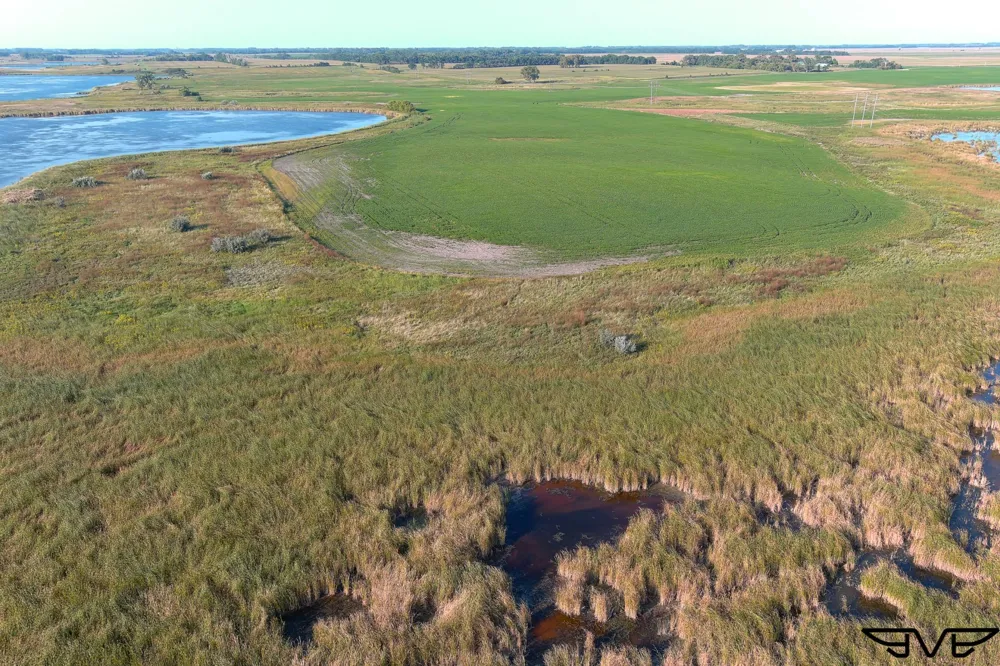 TBD County Road 1 Hankinson, ND 58041