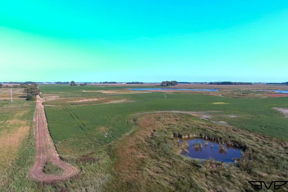 TBD County Road 1 Hankinson, ND 58041