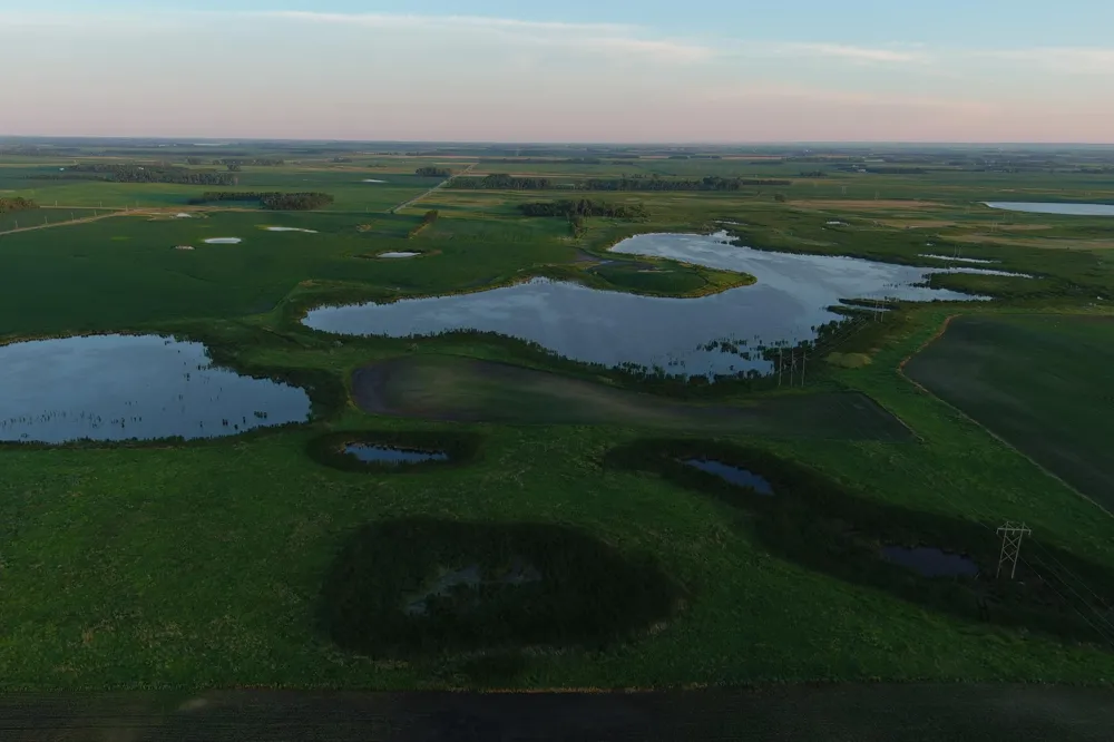 TBD County Road 1 Hankinson, ND 58041