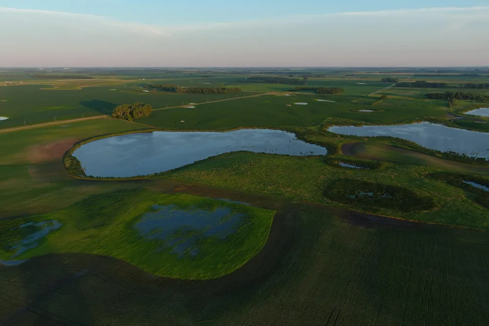 TBD County Road 1 Hankinson, ND 58041