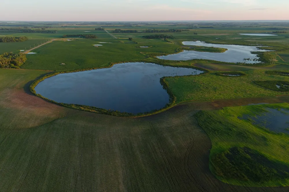 TBD County Road 1 Hankinson, ND 58041