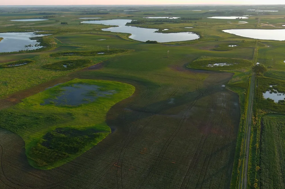 TBD County Road 1 Hankinson, ND 58041
